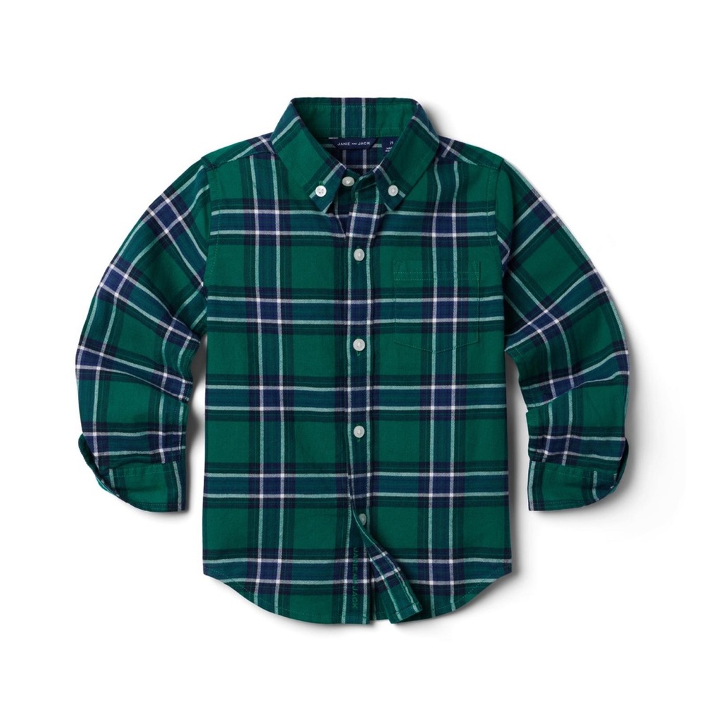 Plaid Brushed Twill Shirt in Ferry Green Plaid